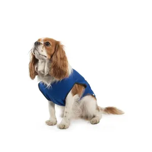 Ancol 50cm Cooling Dog Vest- Large