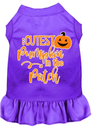 Cutest Pumpkin In The Patch Screen Print Dog Dress Purple Sm