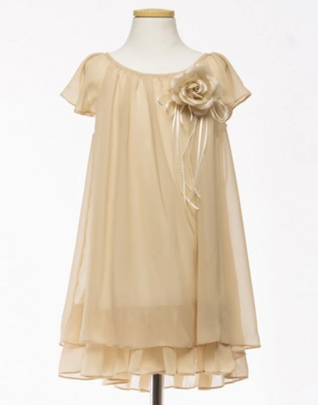 Modish Two Layered Chiffon Pleated DressRule - Champagne