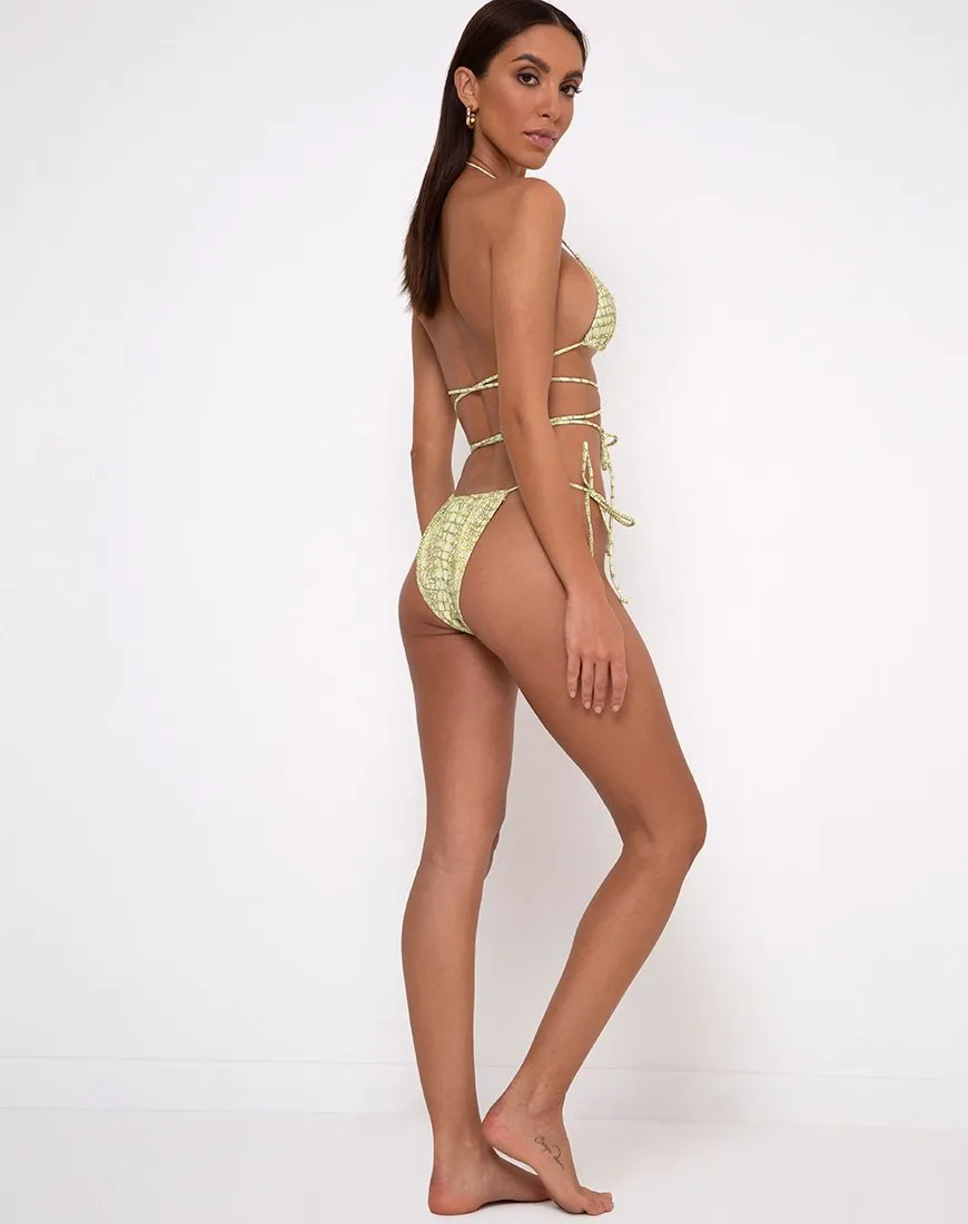 Parmia Triangle Bikini Top in Croc Green